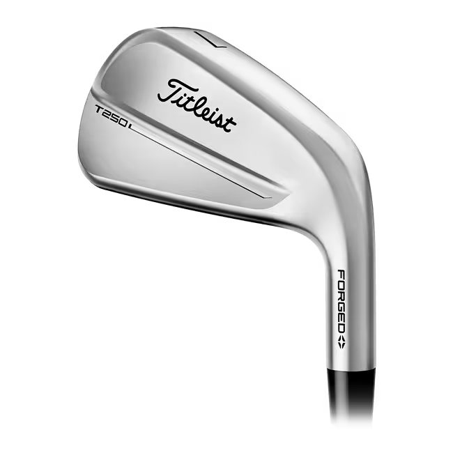 Titleist T-250 Irons