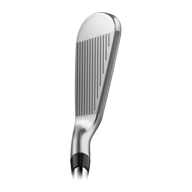 Titleist T-250 Irons
