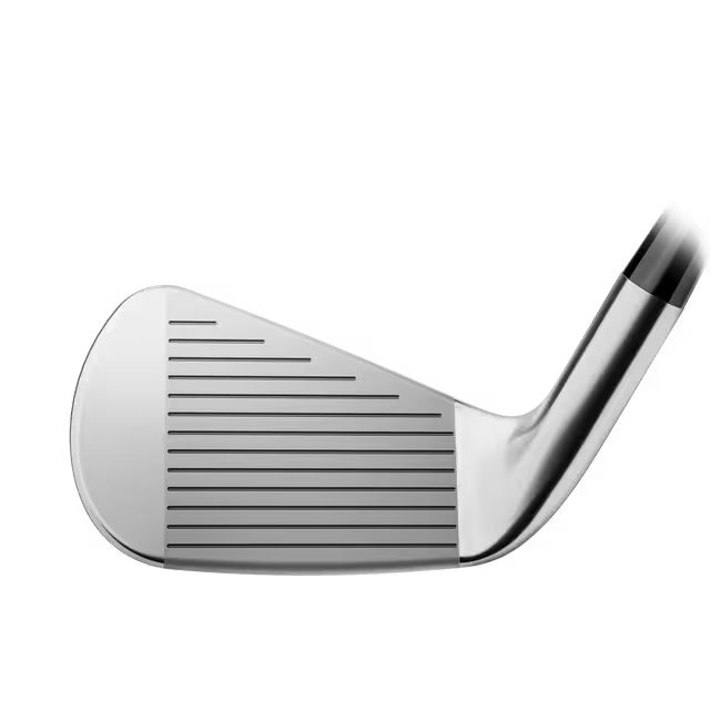 Titleist T-250 Irons
