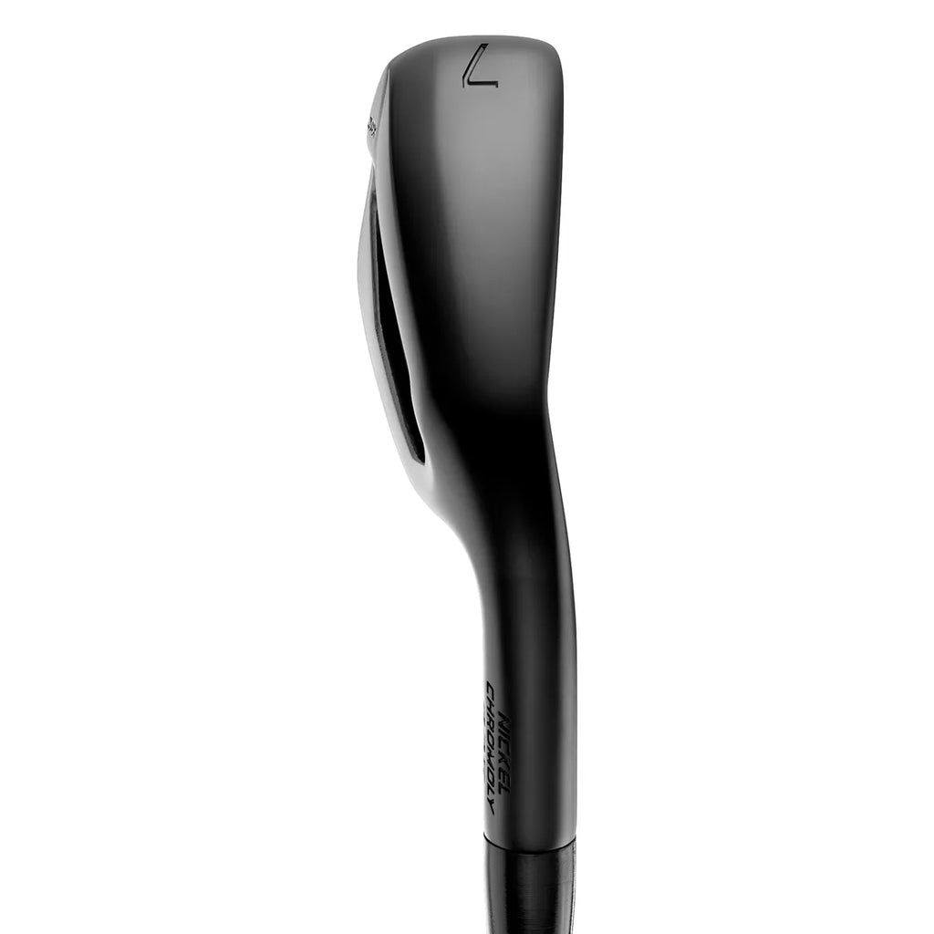 Mizuno JPX 925 Hot Metal Iron Set - Black